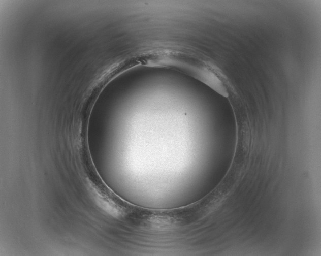 X0000081580490200701151247