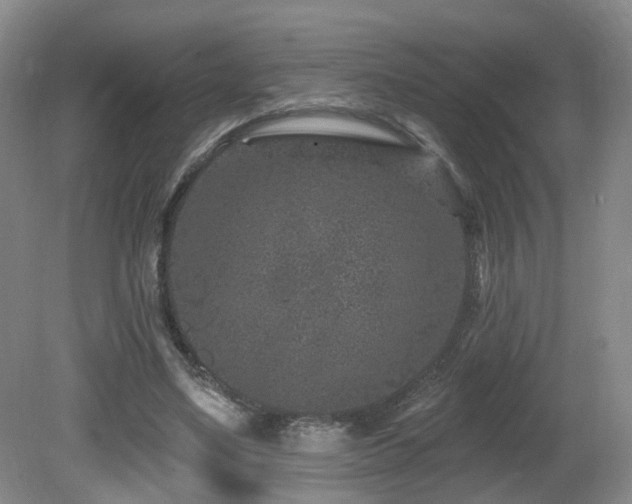 X0000081580491200701151247