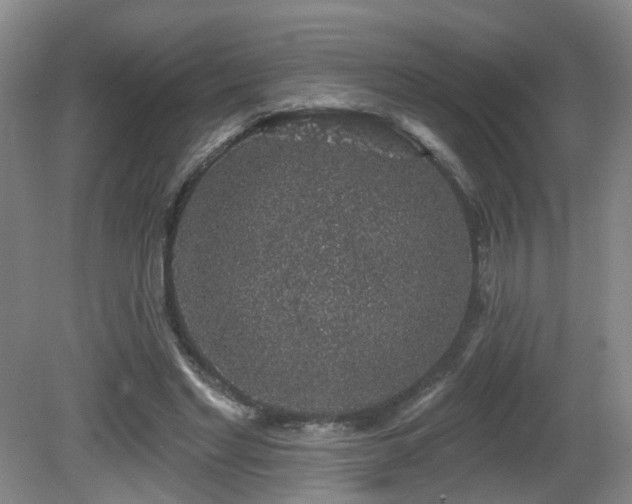 X0000081580493200701151247