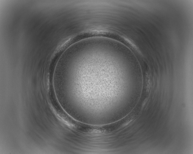 X0000081580494200701151247