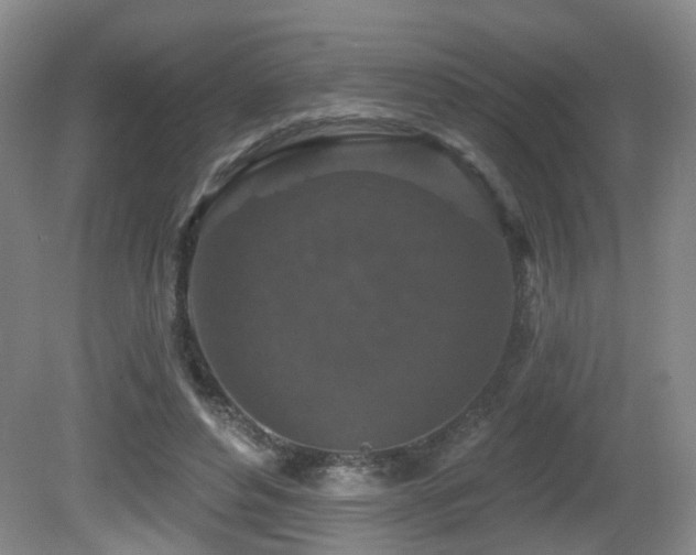 X0000081580496200701151247