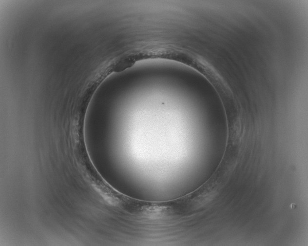 X0000081580497200701151247