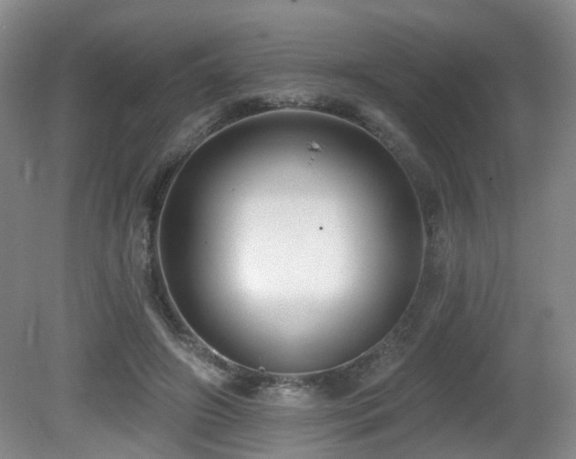 X0000081580498200701151247