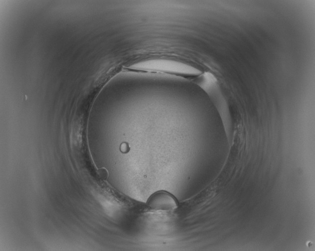 X0000081580499200701151247