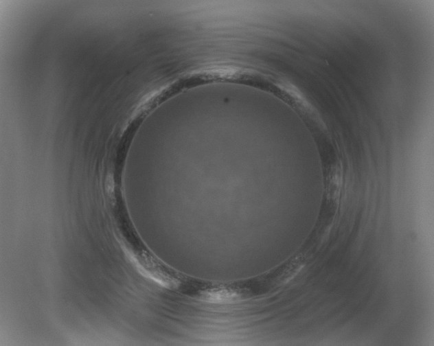 X0000081580500200701151247