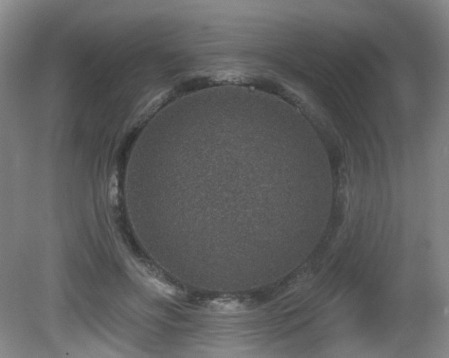 X0000081580502200701151246