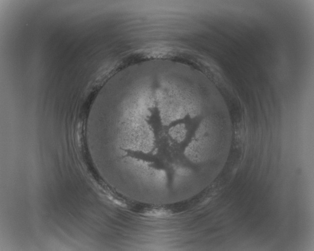 X0000081580503200701151246