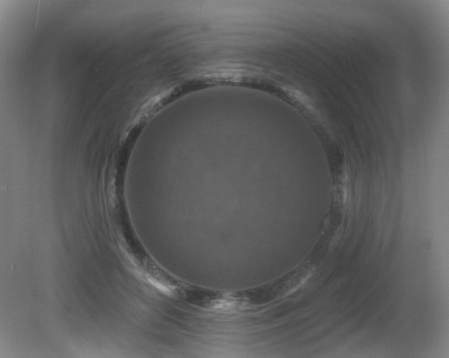 X0000081580504200701151246