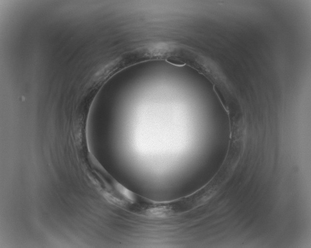 X0000081580505200701151246