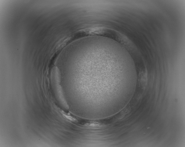 X0000081580506200701151246