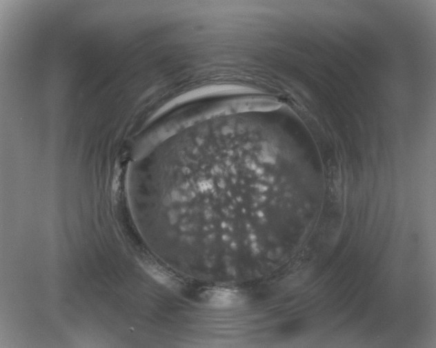 X0000081580507200701151246