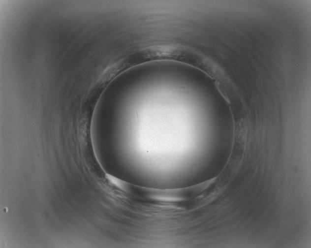 X0000081580509200701151246