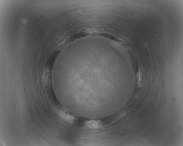 X0000081580511200701151246