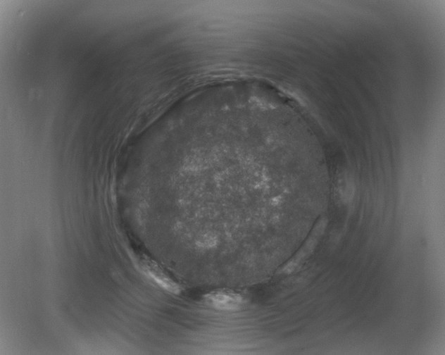 X0000081580512200701151246