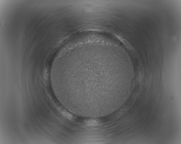 X0000081580513200701151246