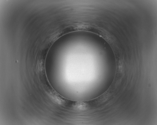 X0000081580514200701151246