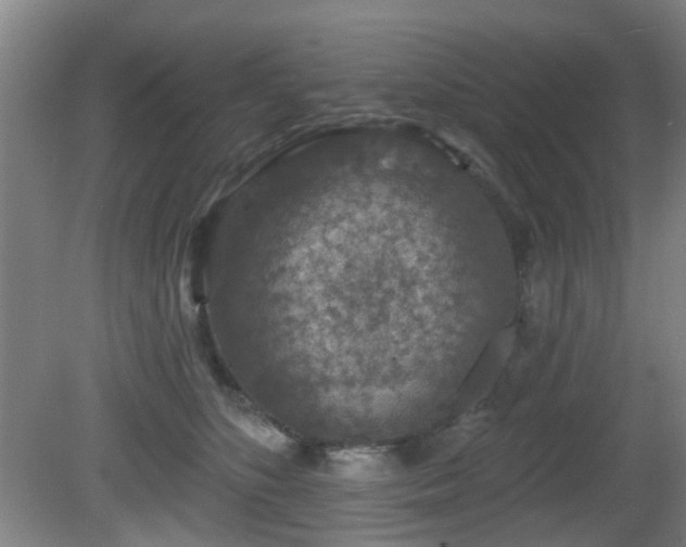 X0000081580516200701151246