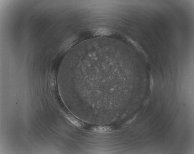 X0000081580517200701151246