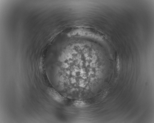 X0000081580519200701151246