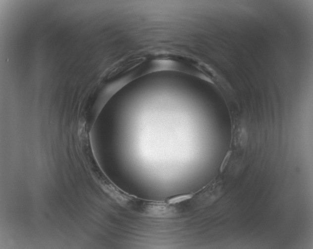 X0000081580521200701151246