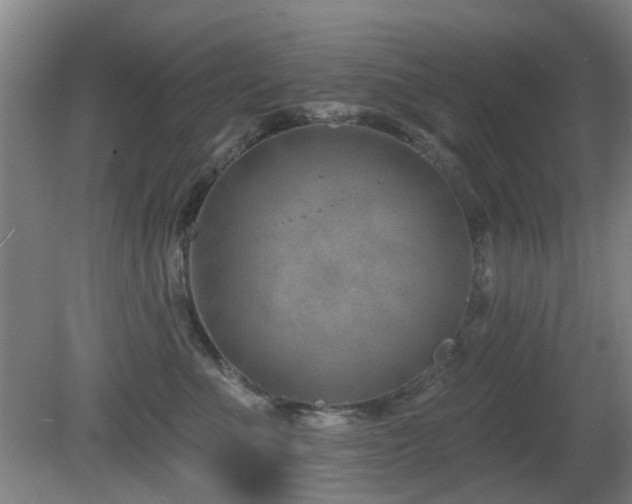 X0000081580523200701151246