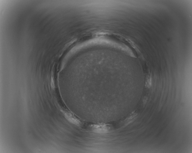 X0000081580524200701151246