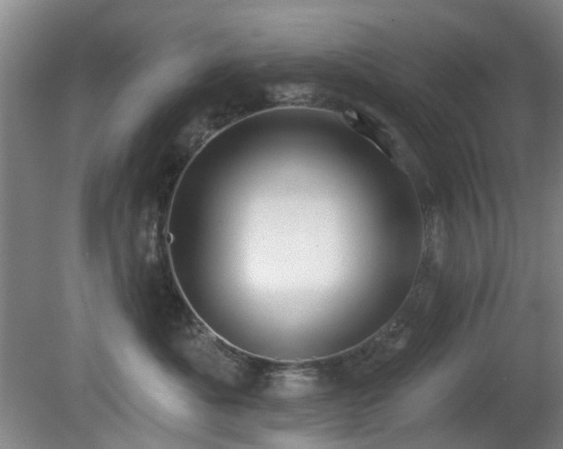 X0000081580525200701151246