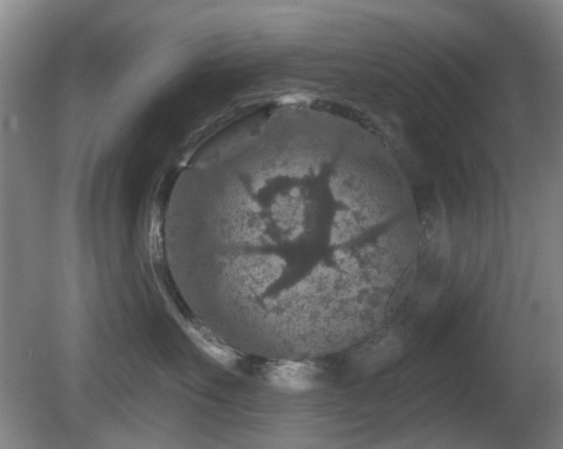 X0000081580527200701151246