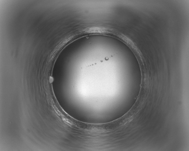 X0000081580529200701151245