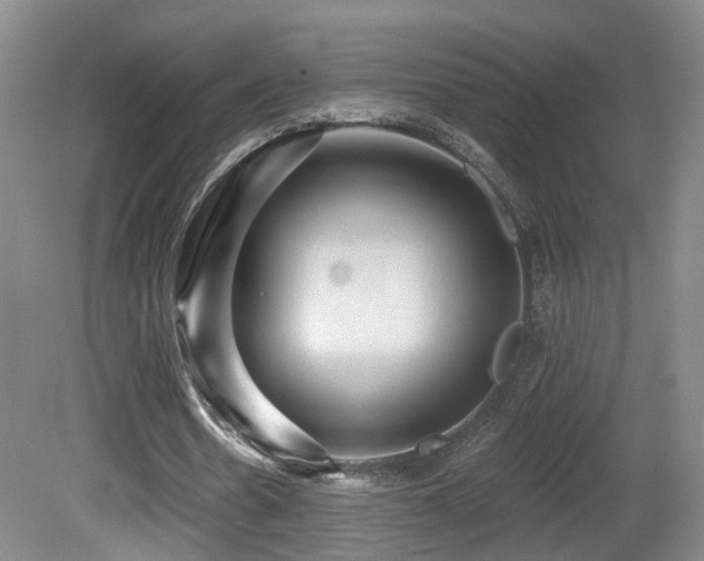 X0000081580530200701151245