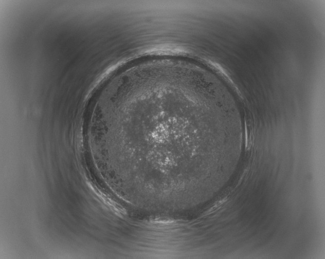 X0000081580531200701151245