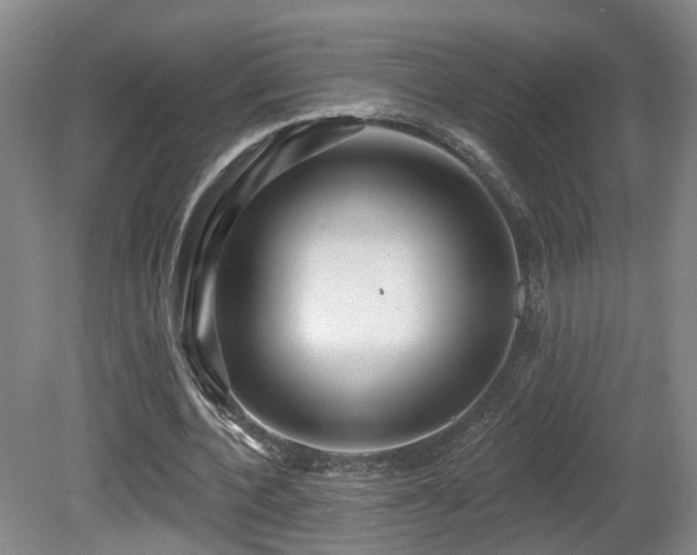 X0000081580532200701151245