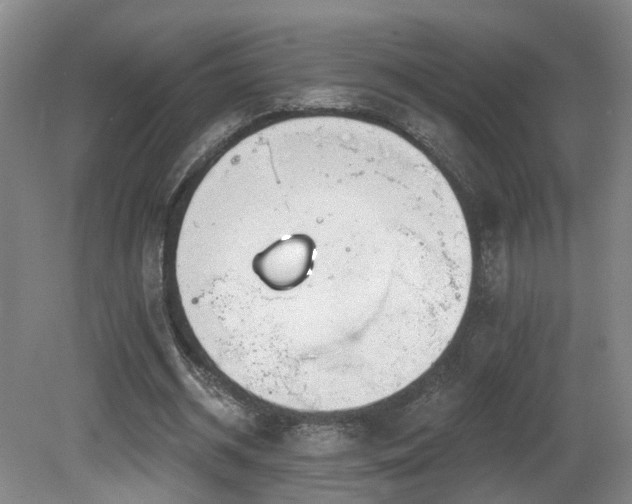 X0000081580534200701151245