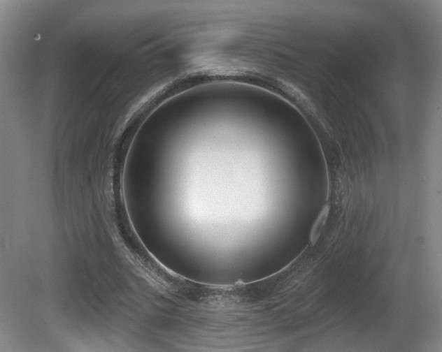 X0000081580535200701151245