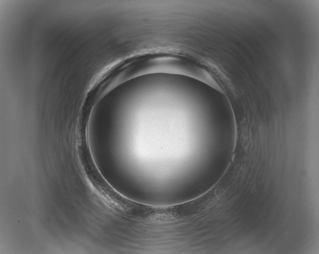 X0000081580536200701151245