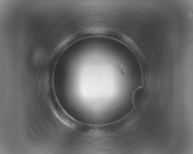 X0000081580538200701151245