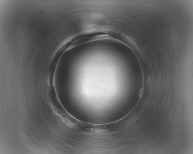 X0000081580539200701151245