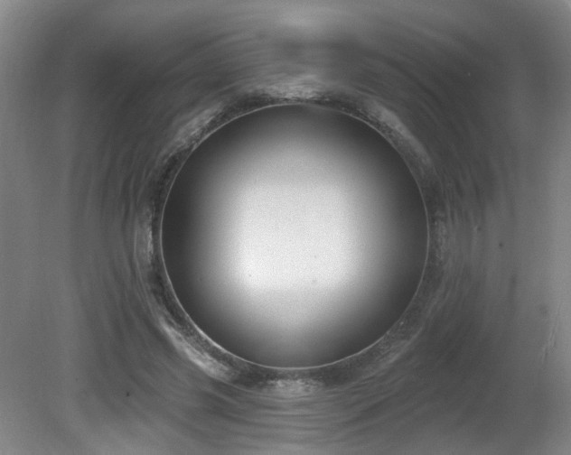 X0000081580541200701151245