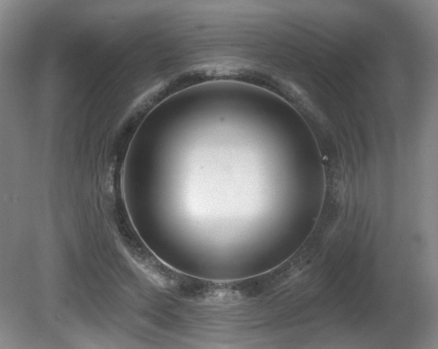 X0000081580543200701151245