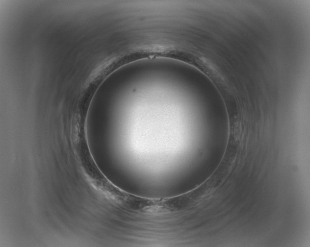 X0000081580544200701151245