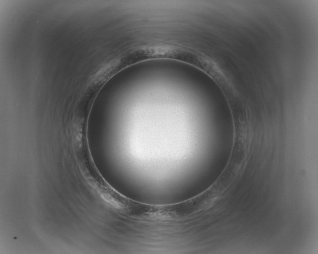 X0000081580545200701151246