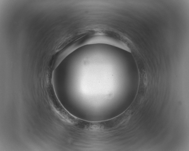 X0000081580546200701151246