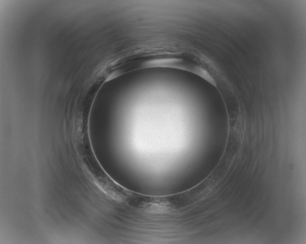 X0000081580548200701151246