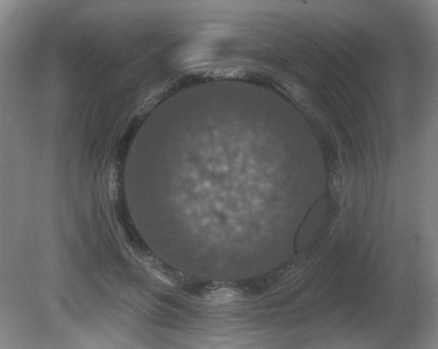 X0000081580551200701151246