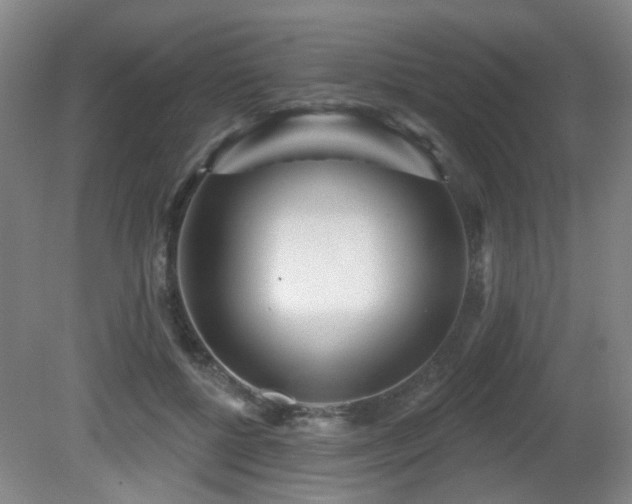 X0000081580552200701151246