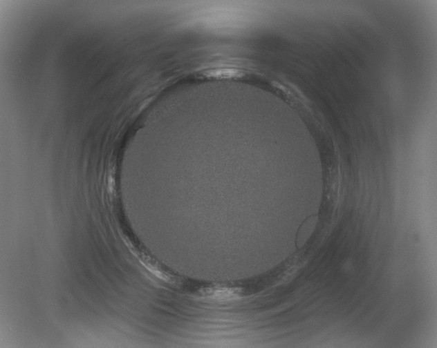 X0000081580553200701151246