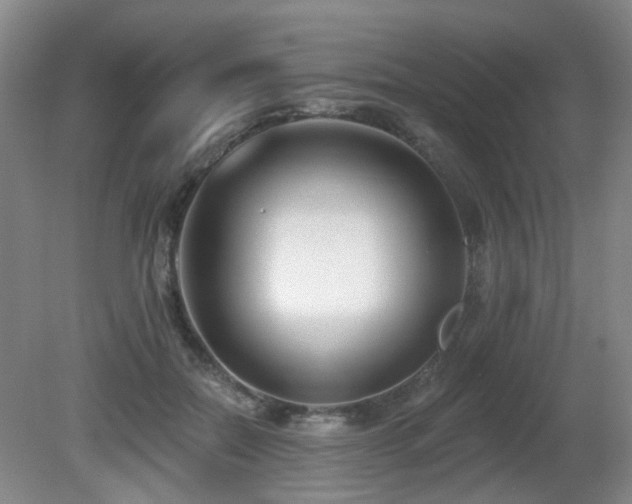 X0000081580554200701151246