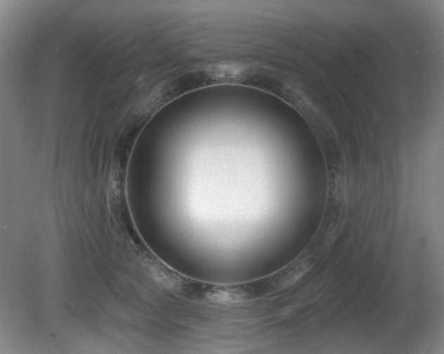 X0000081580561200701151246