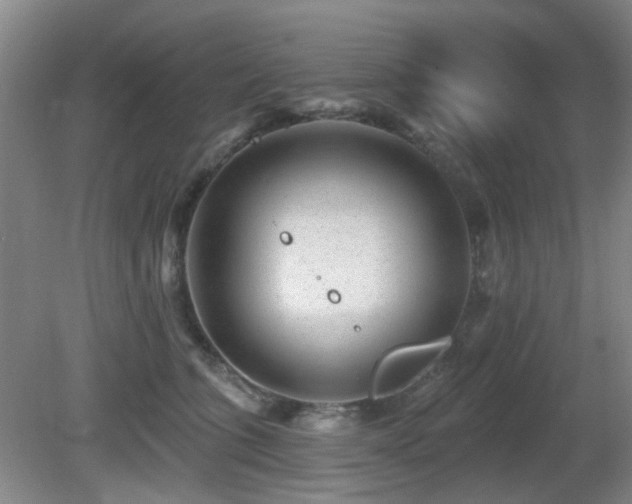 X0000081580563200701151246