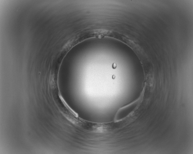 X0000081580564200701151246